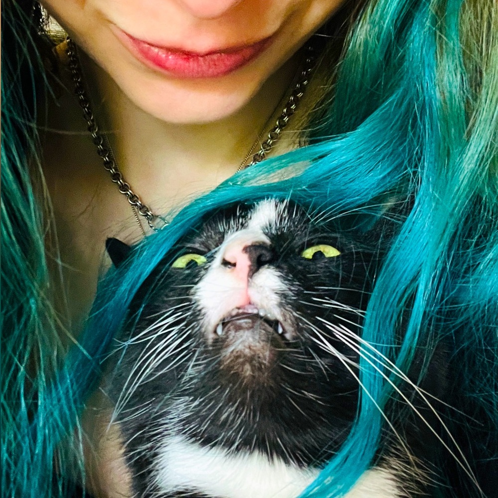 🌙 LUNA✨ Cat-friendly home 🖤
